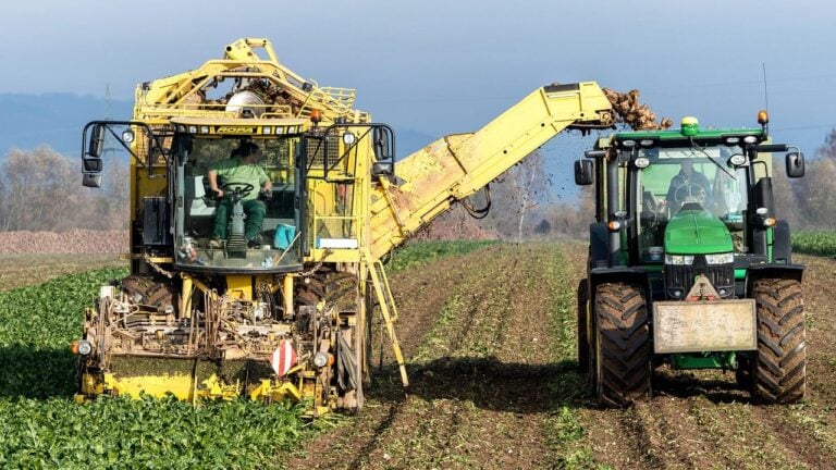 Two large harvesting machines working side by side across a green field