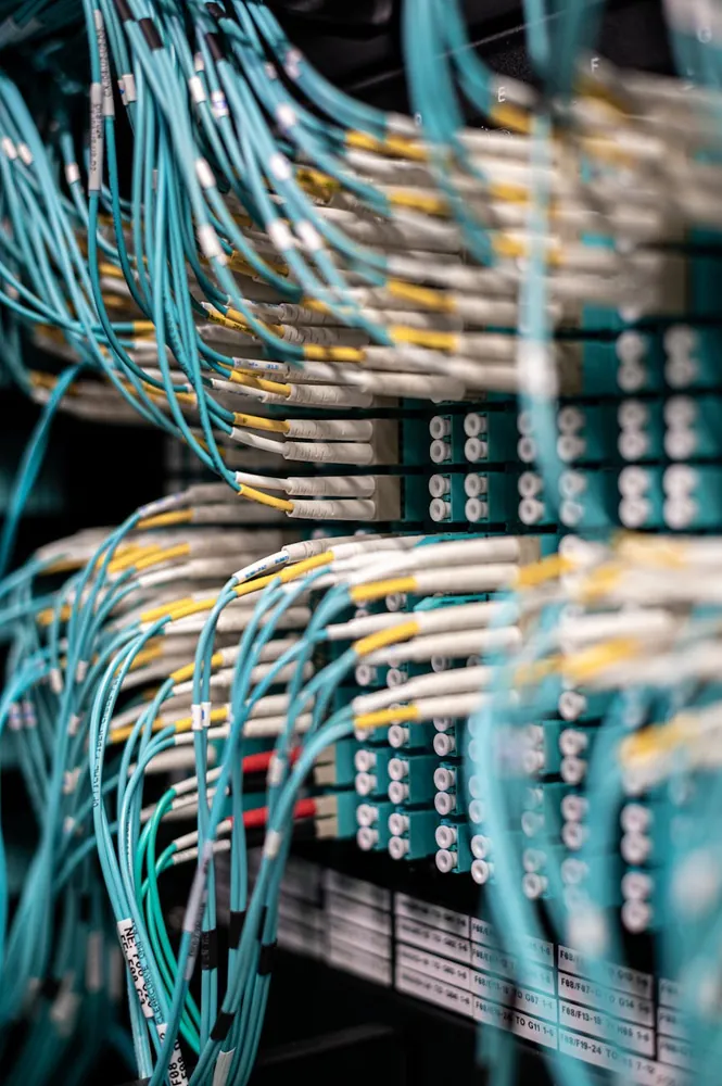 A network patch panel with dozens of coloured cables plugged into its ports