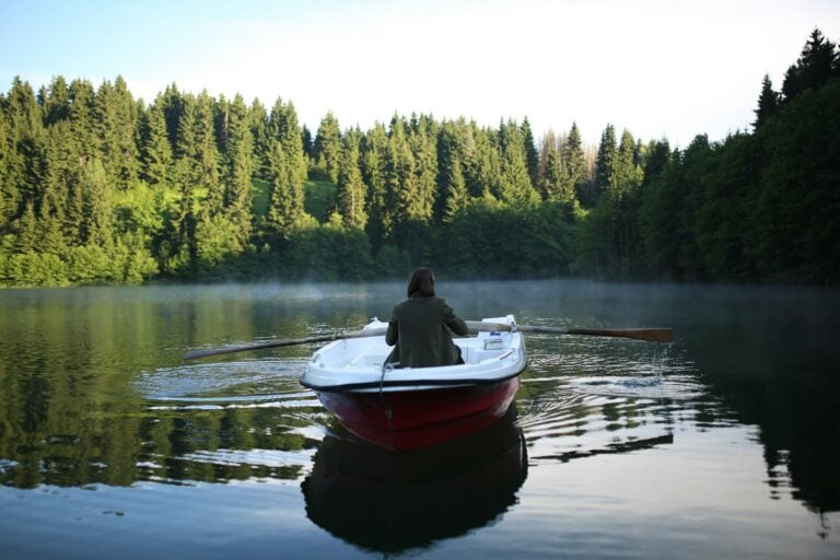 Small boat on a misty forest lake (photo: Discover Savsat / Unsplash)