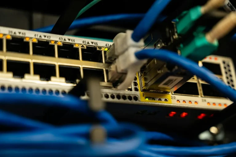 Close-up of a network switch's ports with blue ethernet cables plugged into them