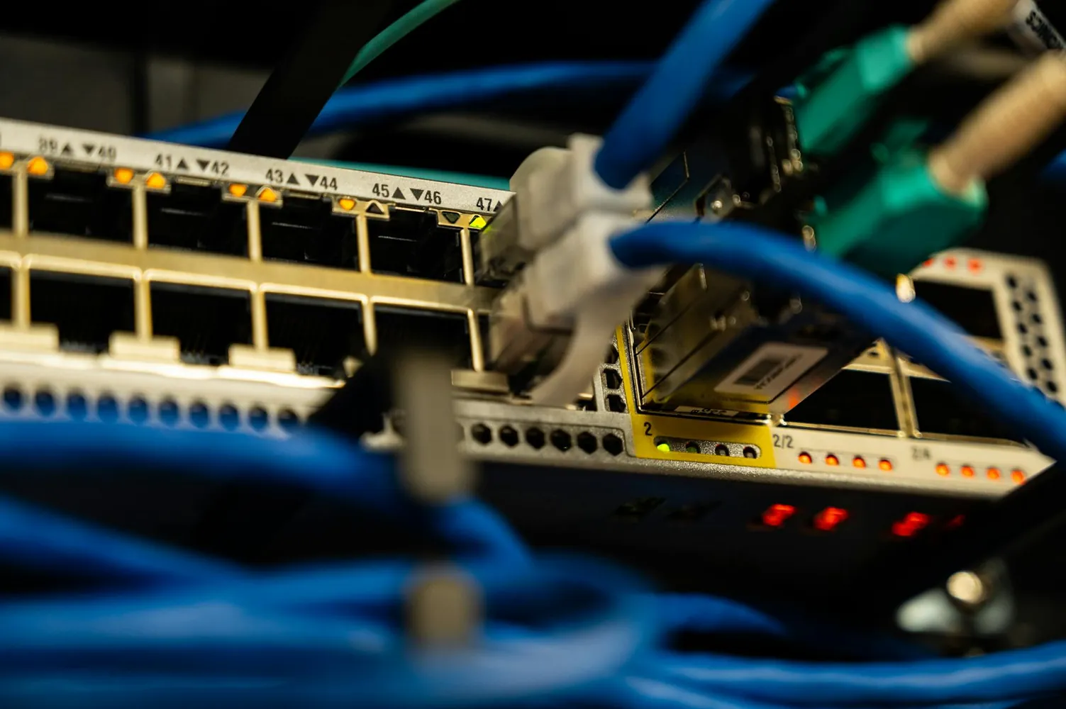 Close-up of a network switch's ports with blue ethernet cables plugged into them