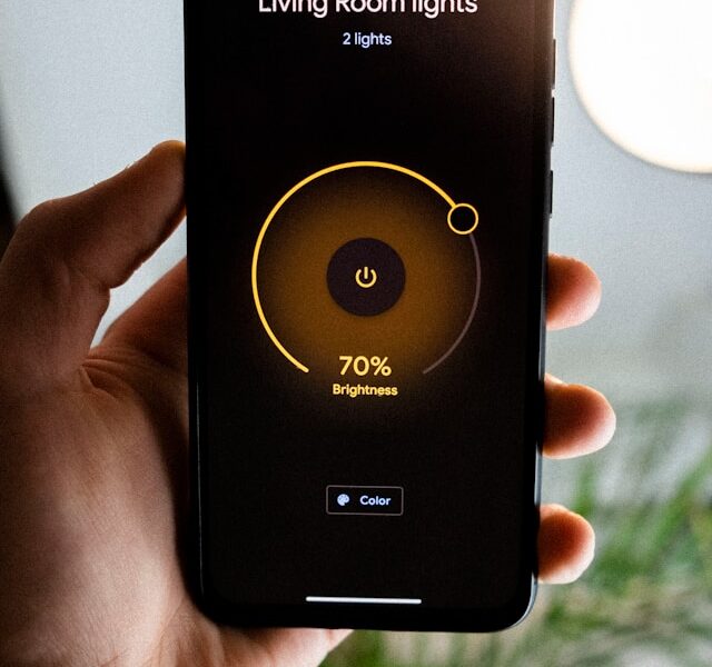 Smart Home Integration: Hubs or Standalone Devices? Pros and
                  Cons Explored
